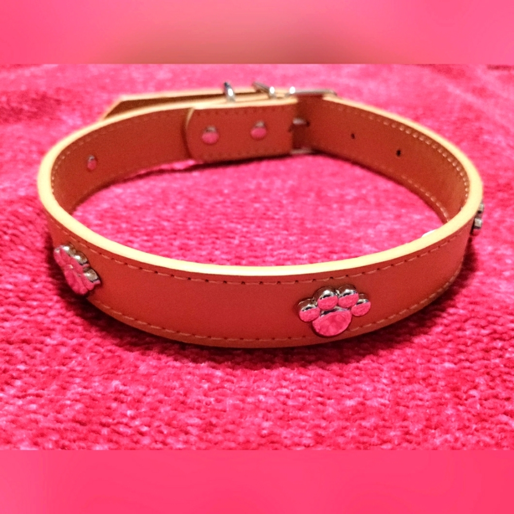 New Large Paw Print Collar Size Large